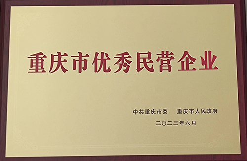 2023年6月重慶市優(yōu)秀民營企業(yè).jpg