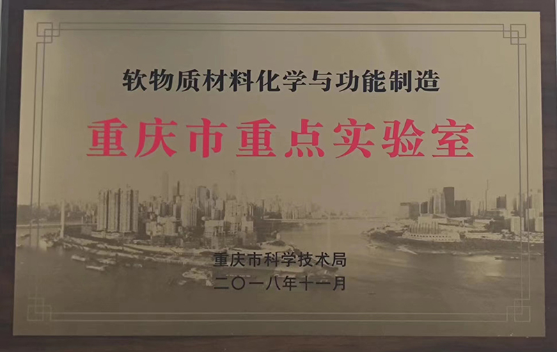 2018年11月重慶市重點(diǎn)實(shí)驗(yàn)室.jpg